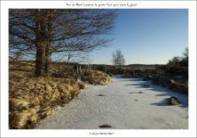 sur le mont lozre le tarn pris dans la glace.jpg